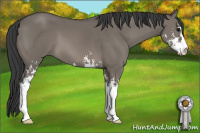 Horse Color:Grullo Sabino 