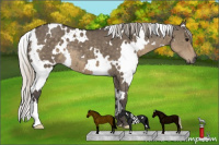 Horse Color:White Spotted Silver Smoky Grullo 