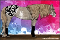 Horse Color:Smoky Grullo Sabino Appaloosa Rabicano