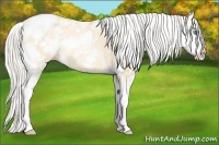 Horse Color:Silver Buckskin Pearl Dun Sabino 