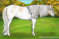 Horse Color:White Spotted Silver Buckskin Dun Tobiano