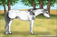 Horse Color:White Spotted Blue Roan Splash Frame Blanket 