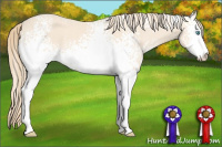 Horse Color:White Spotted Perlino Sabino