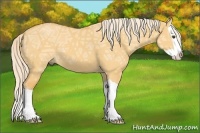Horse Color:Palomino Ice Dun Splash 