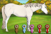 Horse Color:Perlino Dun Sabino 