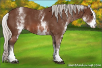 Horse Color:White Spotted Silver Bay 