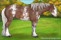 Horse Color:White Spotted Silver Bay Roan Splash 