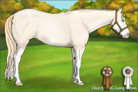 Horse Color:Buckskin Pearl Splash Frame 