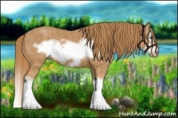 Horse Color:Chestnut Splash Frame Brindle