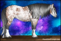 Horse Color:Gray Bay Ice Roan Splash 