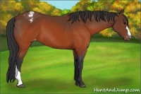 Horse Color:Brown Varnish 