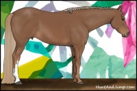 Horse Color:Chestnut 