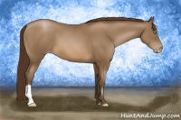 Horse Color:Gray Buckskin Pearl 