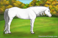 Horse Color:Brown Fewspot 