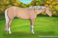 Horse Color:Silver Classic Champagne Sabino Tobiano