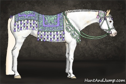 Horse Color:Palomino Sabino 