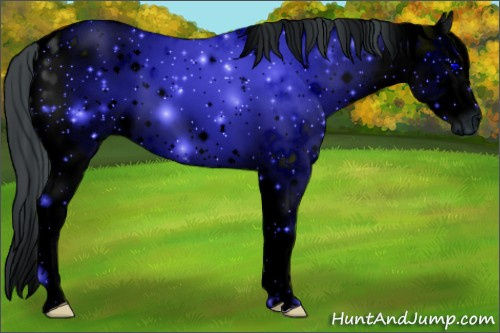 Horse Color: ERROR: UNKNOWN ANOMALY