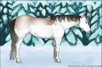 Horse Color:Gray Amber Champagne Splash 