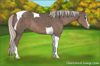 Horse Color:Silver Black Sabino Tobiano