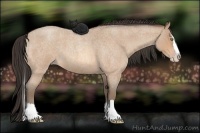 Horse Color:Amber Champagne Roan Splash 
