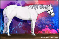 Horse Color:Watercolor Amber Champagne Dun Splash Tobiano Snowcap Rabicano 