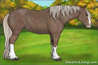 Horse Color:Silver Black Splash