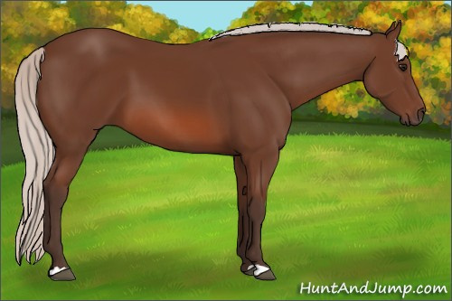 Horse Color: Silver Bay 