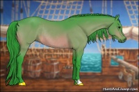 Horse Color:Watercolor Bay Rabicano 