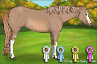 Horse Color:White Spotted Liver Red Dun 