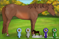 Horse Color:Liver Chestnut