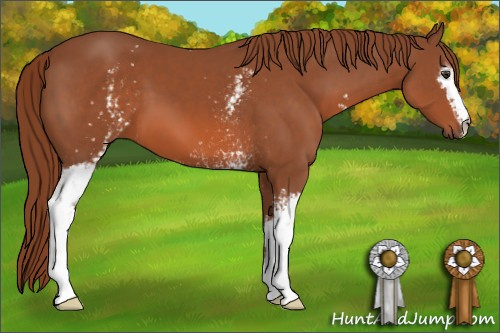 Horse Color: White Spotted Liver Chestnut 