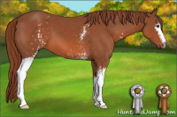Horse Color:White Spotted Liver Chestnut 