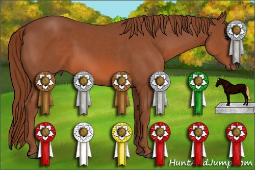Horse Color: Liver Chestnut 