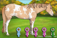 Horse Color:White Spotted Gold Champagne Sabino