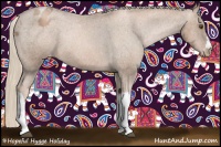 Horse Color:Liver Chestnut Pearl Appaloosa 