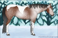 Horse Color:Gray Bay Sabino Tobiano Rabicano 