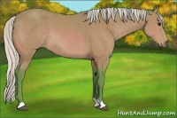 Horse Color:Watercolor Silver Bay 