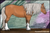 Horse Color:Silver Bay 