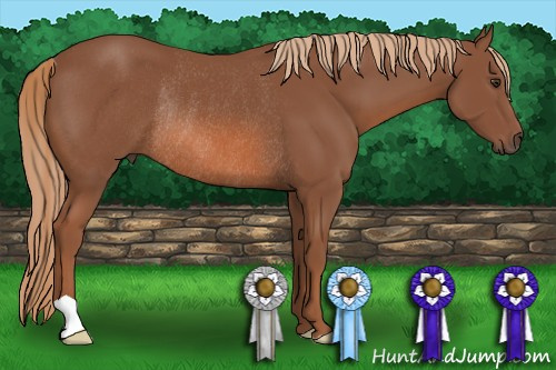 Horse Color: Liver Chestnut Rabicano 