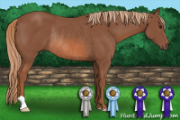 Horse Color:Liver Chestnut Rabicano