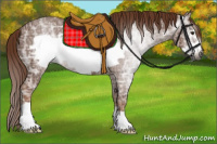 Horse Color:Gray Chestnut Ice Frame 