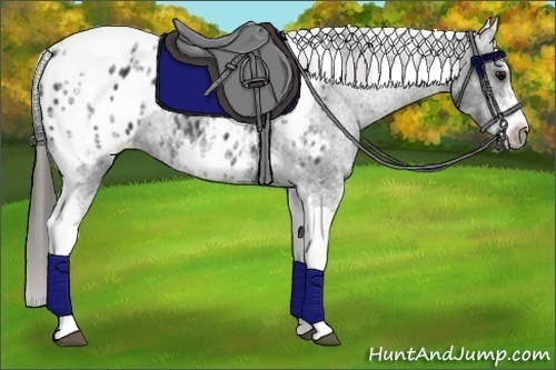 Horse Color:White Spotted Black Splash Tobiano Frame Blanket