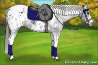 Horse Color:White Spotted Black Splash Tobiano Frame Blanket 