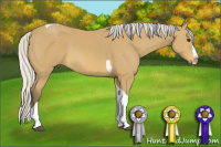 Horse Color:Silver Buckskin Splash Tobiano 