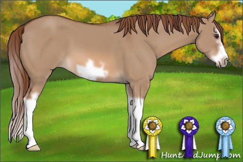 Horse Color: Red Dun Splash Frame 