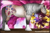 Horse Color:Gray Bay Brindle