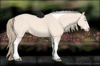 Horse Color:Perlino Tobiano 