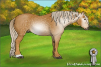 Horse Color:Gray Palomino Tobiano 