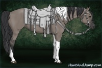 Horse Color:Grullo Tobiano 