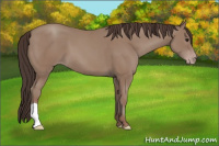 Horse Color:Classic Champagne 